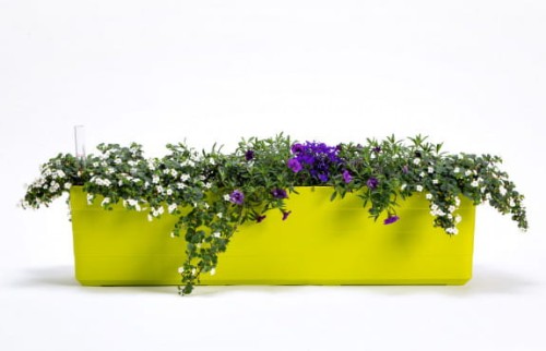 Skrzynka BERBERIS 80 cm samonawadniająca - seria URBALIVE