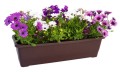 Skrzynka na kwiaty Bergamot 60 cm - samonawadniająca