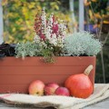 Skrzynka parapetowa BERBERIS 60 cm samonawadniająca - marki PLASTIA