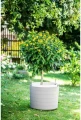 Donica samonawadniająca BERBERIS 55 cm - z kółkami