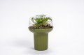 Donica Humidarium Plastia zielona