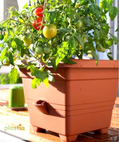 Donica Bergamot 60 cm samonawadniająca