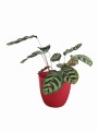 Osłonka na donicę Patrycja 11 cm - czerwona