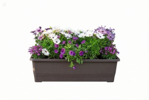 Skrzynka balkonowa Bergamot 50 cm samonawadniająca