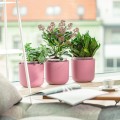 Doniczka samonawadniająca Tolita 16 cm - różowa