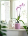 Doniczka samonawadniająca Tolita 16 cm - różowa