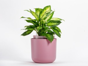 Doniczka samonawadniająca Tolita 16 cm - Plastia - różowa