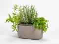 Donica Tolita 30 cm - Plastia - samonawadniająca taupe