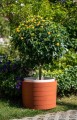 Donica samonawadniająca BERBERIS 55 cm - z kółkami