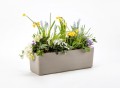 Skrzynka parapetowa BERBERIS 60 cm samonawadniająca - marki PLASTIA