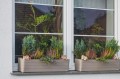 Skrzynka parapetowa BERBERIS 60 cm samonawadniająca - marki PLASTIA
