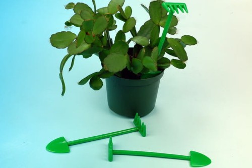 Mini - zestaw doniczkowy